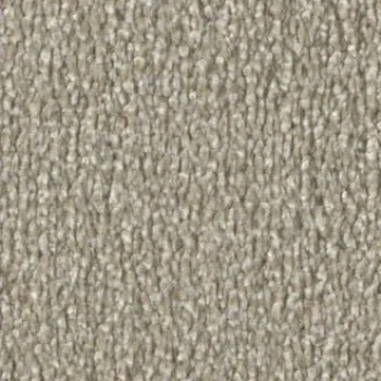 Vorwerk Calla Teppichboden – Farbe 8L53 beige – Draufsicht